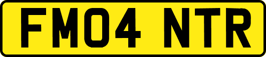 FM04NTR