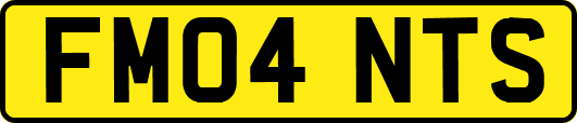 FM04NTS