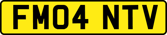 FM04NTV