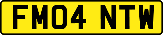 FM04NTW