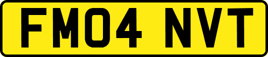 FM04NVT