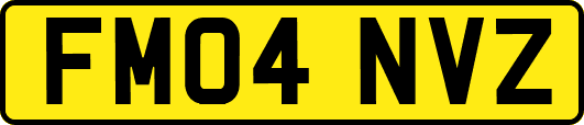 FM04NVZ