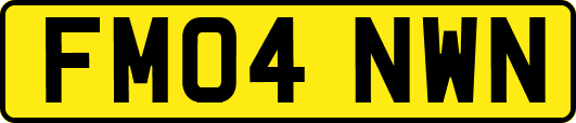 FM04NWN
