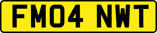FM04NWT