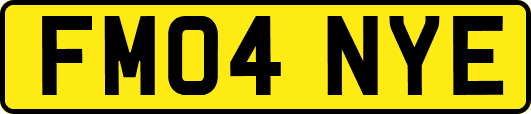 FM04NYE