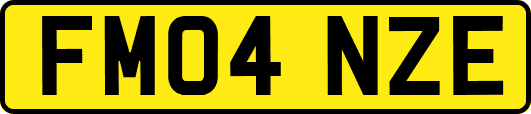 FM04NZE
