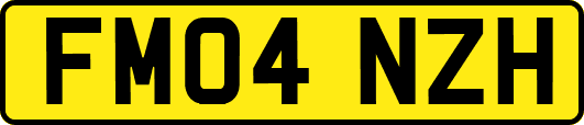 FM04NZH