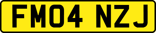 FM04NZJ