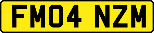 FM04NZM