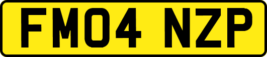 FM04NZP