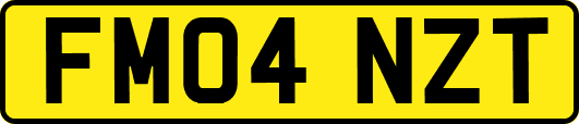 FM04NZT