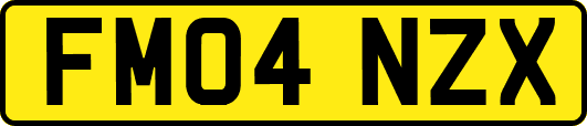 FM04NZX