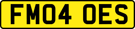 FM04OES