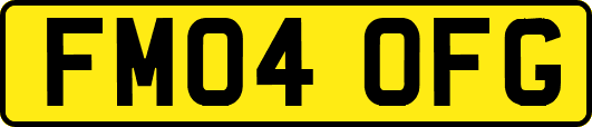 FM04OFG