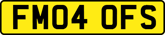 FM04OFS