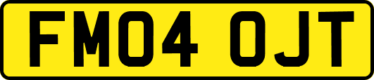 FM04OJT