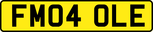 FM04OLE