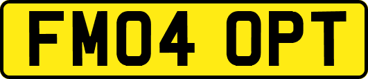 FM04OPT