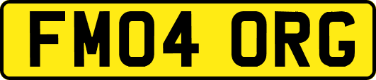 FM04ORG