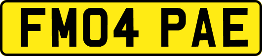 FM04PAE