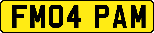 FM04PAM