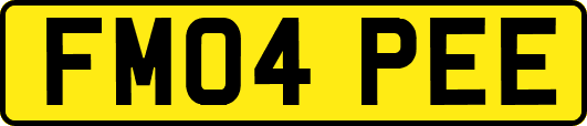 FM04PEE