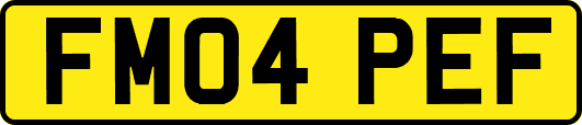 FM04PEF