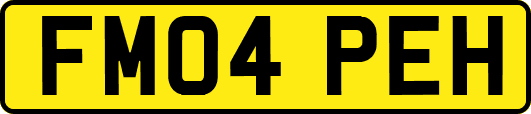 FM04PEH