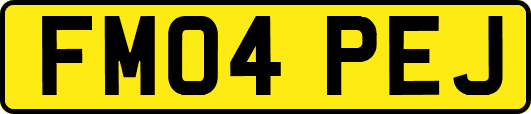 FM04PEJ