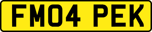 FM04PEK