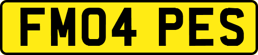 FM04PES