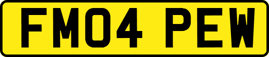 FM04PEW