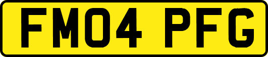 FM04PFG