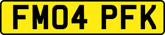 FM04PFK