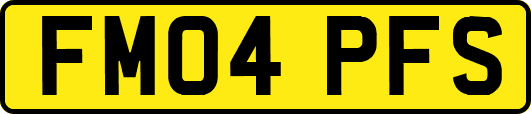 FM04PFS