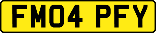 FM04PFY
