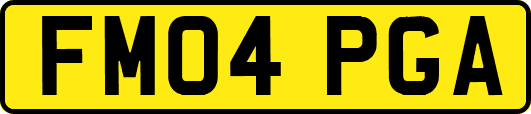 FM04PGA