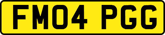 FM04PGG