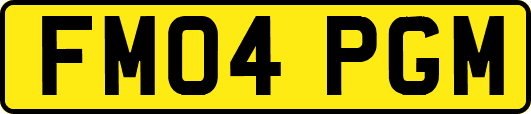 FM04PGM
