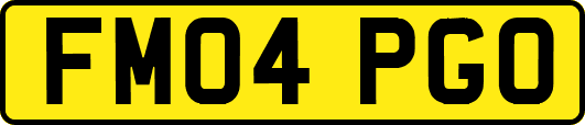 FM04PGO