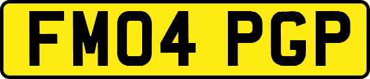 FM04PGP