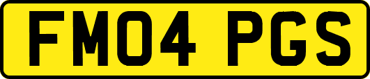 FM04PGS