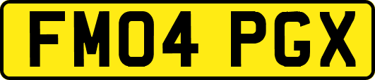 FM04PGX