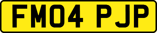 FM04PJP
