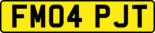 FM04PJT