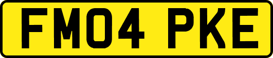 FM04PKE