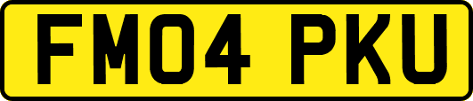 FM04PKU