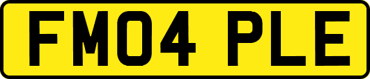 FM04PLE