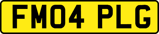 FM04PLG