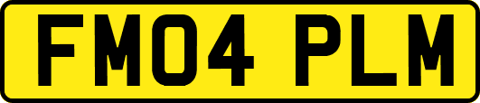 FM04PLM
